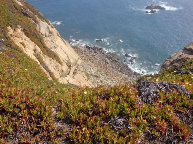 風が強いので、フワッと下に落ちてしまいそうな感覚に陥る