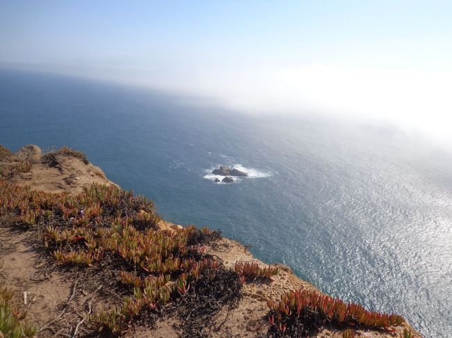 単なる岬かと思っていたけれど、やっぱりスケールが違うなぁ