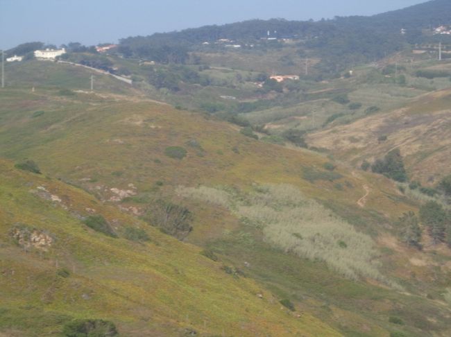 まるで牧場　<br />つい見入ってしまう