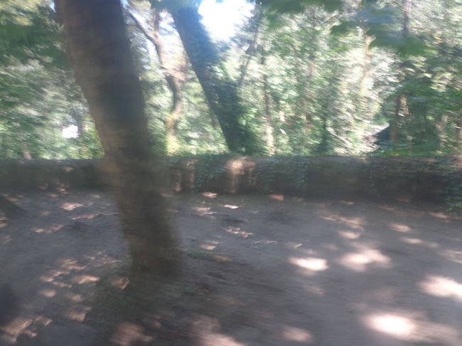 王宮、ムーアの城壁、ペーナ宮殿の順に停車