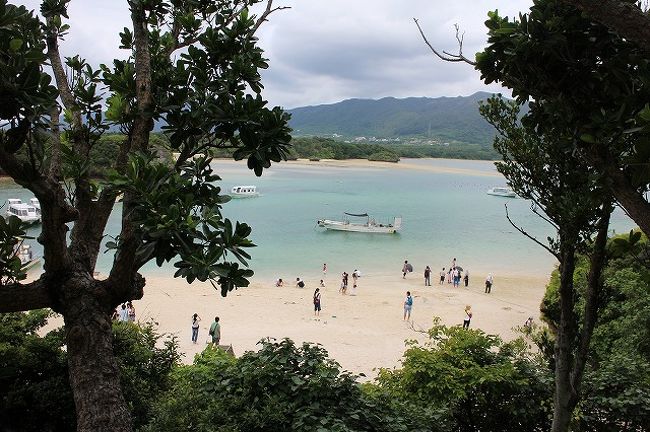 午前中はグラスボートが悪天候のため運航中止だったそうです。<br />