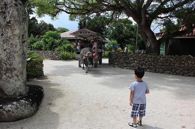 でも興味はあり。