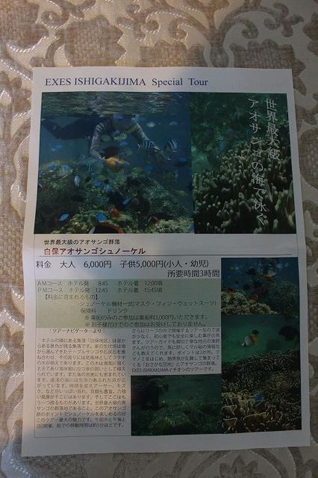 ホテルの案内に白保アオサンゴシュノーケリングがありました。<br />世界最大級ですって、今度はこれに行ってみたいな。