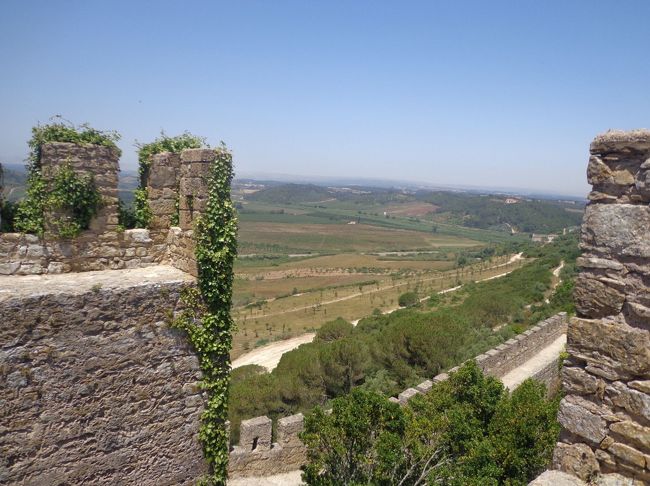 周りの景色がとにかく美しい