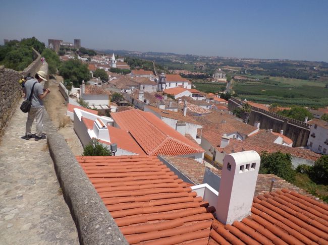 暑さにクラクラ