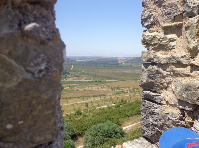 城壁の外の景色はこんな感じ