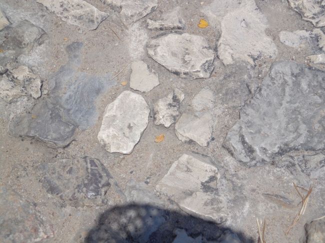 入場料を徴収していない為か、城壁内はすごく歩きにくい。。<br />石の大きさもまちまちで、突き出ている岩もある。<br />転ばないようにしなくては。。