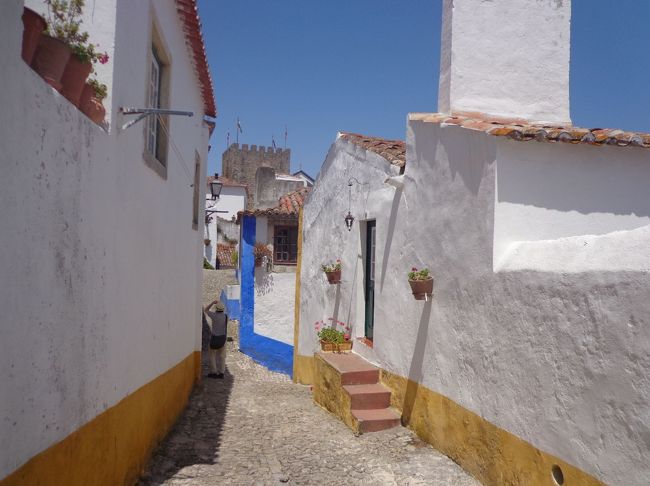 階段を発見したので、下りてみました。<br />ブルーと黄色のふちどりが本当に可愛い