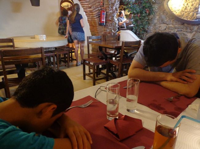 暑さと強い日差しにやられた旦那様と息子