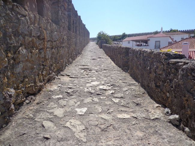 途中、つまずいて転びそうに<br />恐怖！！<br />慎重に進みましょう