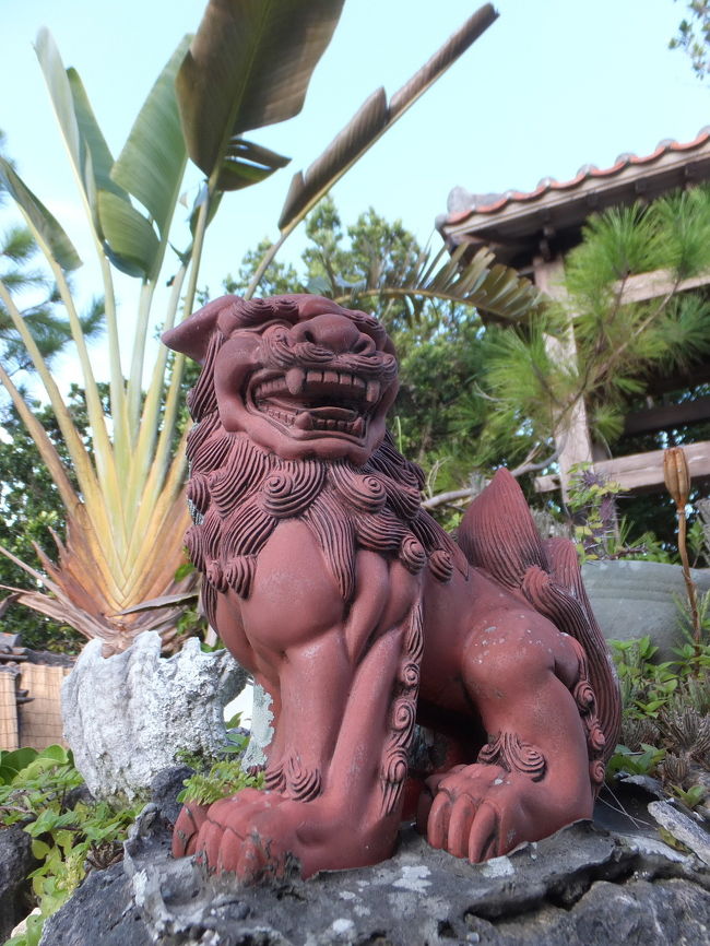 島のいたるところで見ることが出来るシーサーですが、<br />ちょっと凛々しいシーサーだったので、ついついパチリ。<br />