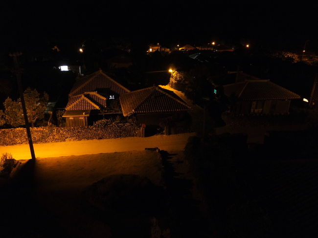なごみの塔に登って、夜の集落を。<br />灯が少なすぎて、真っ暗になってしまった。。。<br /><br />この後、再度、西桟橋まで行って、<br />満天の星空を鑑賞。<br />東京では絶対に見れない、<br />見渡す限り星がちりばめられた絶景でした。<br /><br />星空撮影に対応できるカメラじゃなくて残念。。。<br /><br />そんな感じで、夜の竹富島も満喫して、<br />それでは、今日はここでお休み。