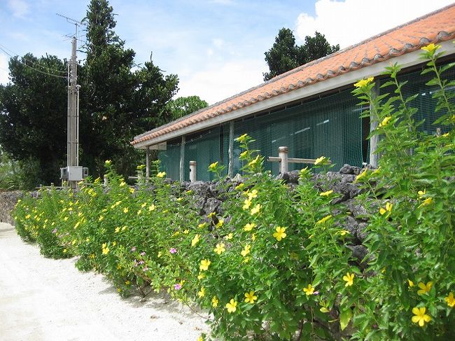 その写真がこちら。<br />なかなかやりますな。<br />後ほど次男の写真コレクションを作成予定です。