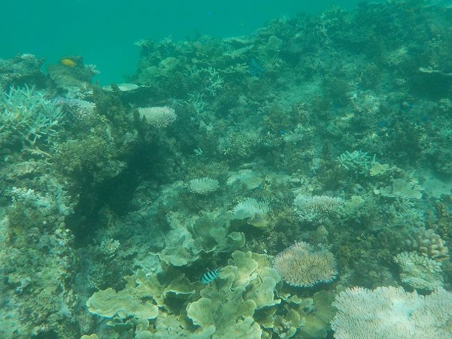 次男には無理かな？と思っていたところ、スタッフのお兄さんが上手に誘導してくれて、浮き輪で海へ。<br />かなりビックリ(@_@)、足が付かないところは怖くてダメだったのに。<br />スタッフのお兄さんに感謝です。