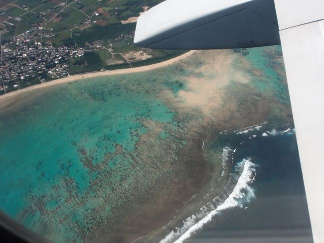 東側の海でシュノーケリングをした事がないので<br />次回は是非、やってみよう