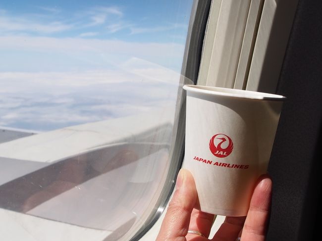 台風の影響で翻弄されましたが、ＪＡＬさん<br />お世話になりました！