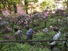 【村上家隠岐しゃくなげ園】

なかなか渋い観光地ですが、緑に囲まれて気分がイイですね。
結構な急斜面を歩きますよ。

