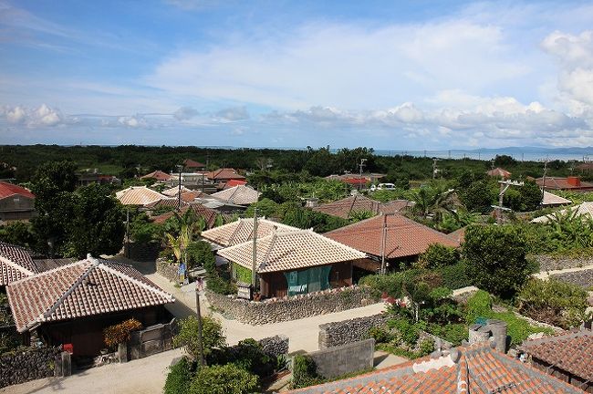 竹富の赤瓦の集落が一望できます。<br />平坦な土地に赤瓦の家々が点在します。