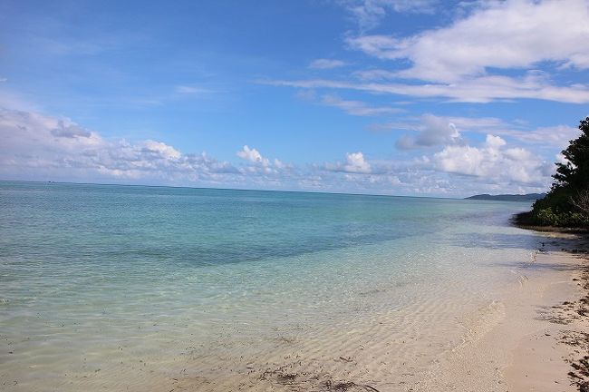 透き通った海にうっとりです。