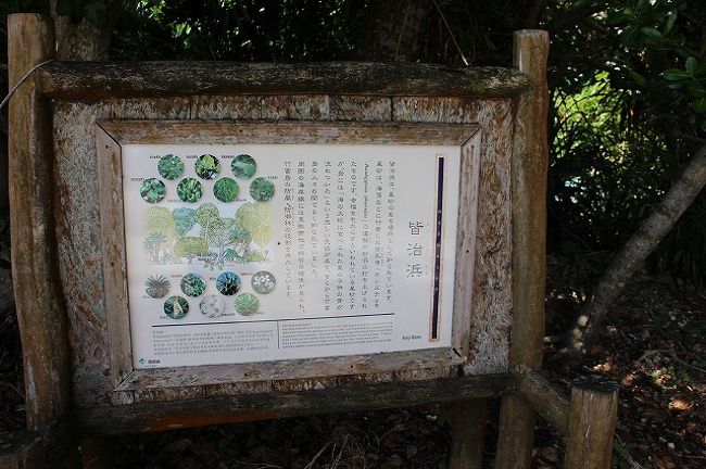 続いてカイジ浜へ。