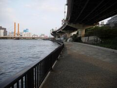 ちょっとすると隅田川テラスに降りられる場所が！
ﾟ+｡ﾔｯﾀｧ★(oﾟ∀`从'∀ﾟo)★ﾔｯﾀｧ｡+ﾟ

次の橋、新大橋が見えてきました♪((o(^∇^)o))