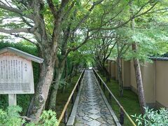 源光庵の次は光悦寺に来ました！光悦寺は写真の様な緑の道が気に入っています(^^)