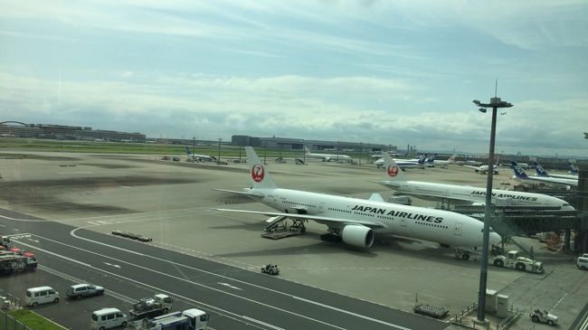 しかし、窓から見える景色もＪＡＬ機ばっかり。<br />飛行機マニアはエエやろけど、どっちか言うと他社の機体を堪能したかった。(´･д･`)