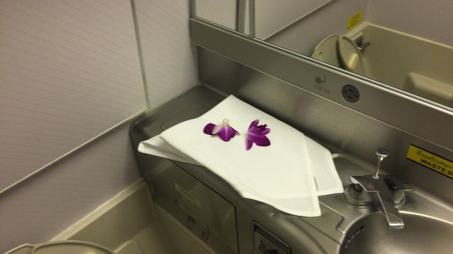 トイレに行ってみると、別段変わりはない感じ。<br />あれ？エコノミーに使い捨てハンドタオルはあったかな？