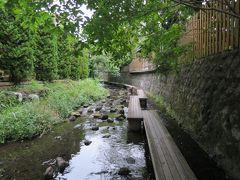 源兵衛川

川の中には、飛び石などが配置され、湧水を全身で感じながら「せせらぎ散歩」を楽しむことが出来ます。