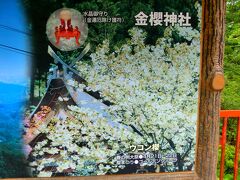 お次は車で移動して「金櫻神社」へ行きます。

こちらもパワースポットなんですよ。

金運が良くなるとのことで我が家は毎年初詣で訪れています。

金櫻神社
 http://kanazakura-shrin.webnode.jp/ 