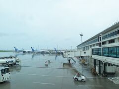 朝6時で、すでに30度近かったセントレアを飛び立ち　早朝便ということで那覇空港には8時15分着。
あいにくの雨でしたが、那覇ではセントレアよりも涼しいくらいの小雨模様で　気温は27度。

暑いという沖縄の印象が覆されました。

