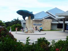 恩納村から北に１時間ほど上がると　沖縄で最も人気のある　「美ら海水族館」です。

観光客は９割がた島外からの観光客
ここも「わ」ナンバー　「れ」ナンバーのレンタカーであふれています。
この美ら海水族館は敷地が広いため　道沿いにあるパーキング選びも注意が必要です。　目に入る　Ｐ3やＰ4といった駐車場に車を入れると水続巻まで長く暑い中を歩くこととなります。

パーキングの看板を見ながら　もっとも奥のＰ7を目指すことです。
このＰ7は立体駐車場のため　止めておいても暑い日差しを避けることが出来て、車を熱くせずに止めておくことができます。