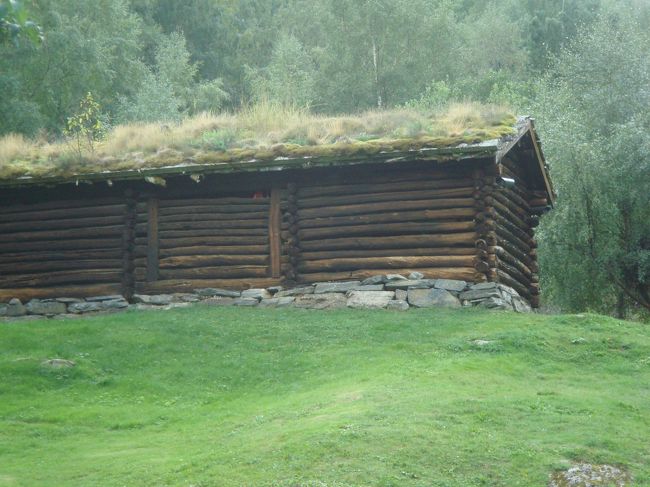 屋根の上に草が生えている建物をこの時初めて見ました。<br />屋根に使われているのは、ノルウェーの森林で多くみられる白樺の木の皮とのこと。これは水に強く断熱効果も高いので、雨が多く、冬寒いノルウェーでは屋根を覆うのに使われてきたそうです。<br />ノルウェーでは伝統的な家だったそうです。<br />このことは、先日偶然テレビでノルウェーの特集があった時に知りました。<br />当時ツアーガイドからは特に説明もなかったのでなんとなく眺めていただけでしたが、やっぱり関心を持つと聞こうという気持ちになりますね（笑）<br />勉強になりました＾＾