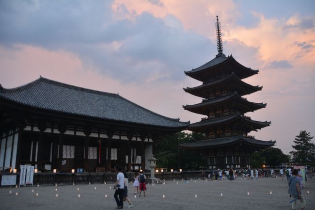 興福寺の夕刻の風景が綺麗でした。