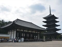 現在の興福寺のハイライト。東金堂と五重塔。共に国宝。どちらも室町時代再建。創建当時の和様式で建てられてます。往時は中金堂を挟んで西金堂という建物もあったのですが現在は跡地が残るだけ。9：00から東金堂が開くので少し時間調整。