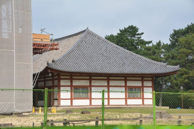 中金堂の北にひっそりと隠れている仮金堂。1974年に薬師寺の旧金堂を改造移築したもの。中金堂が江戸時代に再建されたが仮の建物として安価な建物だったので更に仮として建てられました。要は代打の代打。現在その前で本命の中金堂を再建中です。