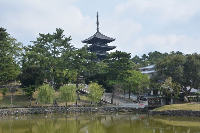 南の猿沢池越しに見る興福寺お馴染みのショット。私のほかにも何枚もいろいろ工夫して写真を撮っている人がいました。多分、この構図の写真、世界で何万枚か何十万内あるような気もするがやっぱり自分のこだわった写真を撮りたいですよね。9：05頃元興寺に向かいます。