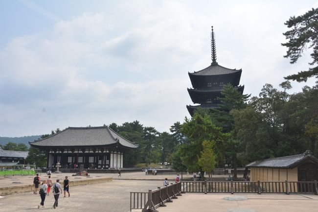 南大門跡から見た東金堂と五重塔。現在中金堂再建の為フェンスがあちこちに建っていてなかなかフェンスが目立たないように写真を撮るのに苦労する。興福寺は「古都奈良の文化財」の一つとして世界遺産に認定されてます。敷地の広さと建物の立派さを見るにつけ大きな寺院だったんだなあと往時を偲ばせてくれます。近鉄で奈良に来るときはいつも最初に訪れます。