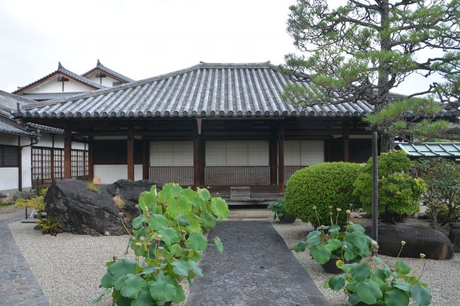 入って直ぐ、十輪院の本堂です。国宝。軒の低い建物で元々は壁龕に収まった露天のお地蔵様を取り囲むように鎌倉時代に建てた建物でお地蔵さまはそのままの高さにある為建物も低く建てた様です。左手に進み入場料を払い見学を申し込むと内陣を見学でき解説もしていただけます。中は写真は撮れません。