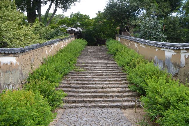 帰りに参道を見上げて撮影。