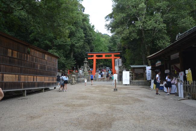 二之鳥居の先の手水所に出てきました。折角なので二之鳥居の前に戻って写真を撮ります。