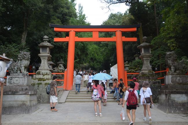 再び二居之鳥居をくぐって本殿へ。