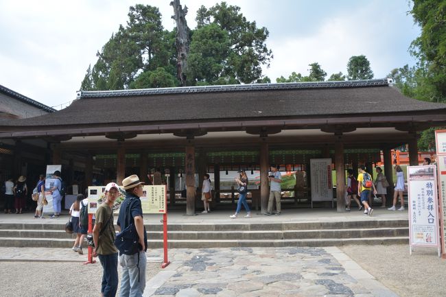 南門から中に入ると幣殿が正面に。右手の受付で本社の特別拝観の拝観料を払って中へ入ります。