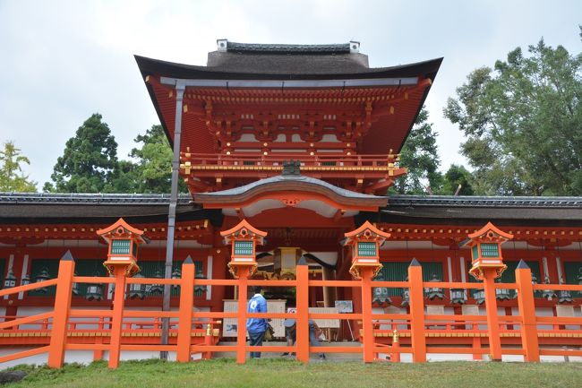 中門です。この奥に本殿が四社あります。本殿は国宝となってます。丁度訪れたときは第60次式年遷宮が終わった頃でした。