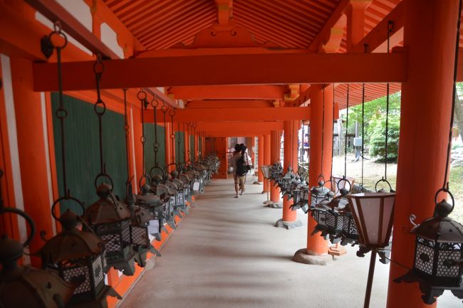 東回廊です。この先進んだところで御蓋山浮雲峰遙拝所が公開されてました。このときは第60次式年遷宮の時で特別拝観との事でした。