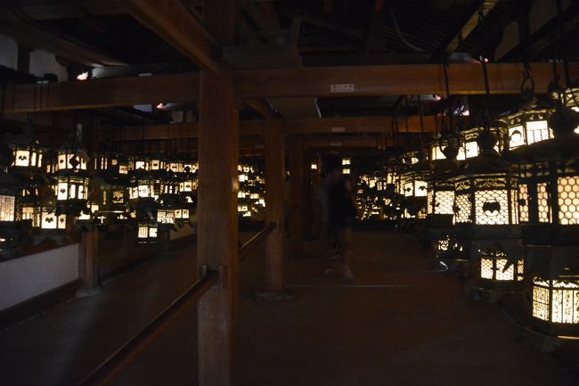 万燈籠再現藤浪之屋の中の様子。でも、この日は万燈籠の日なので、夜になれば本物が見えますが・・・