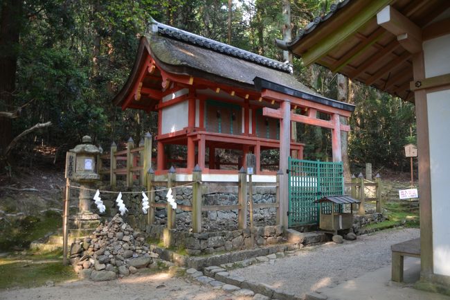 一番奥の紀伊神社まで行ってきて引き返します。