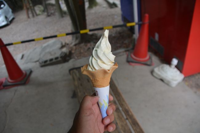 二之鳥居前まで戻り売店でソフトクリームを購入。受け取るとすぐに近くにいた鹿に襲われそうになる。多分コーンの部分が食べたかったのでしょう。何とか死守。