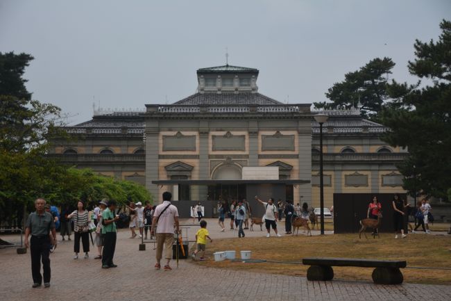 奈良国立博物館、仏像館。中は国宝や重要文化財の仏像が一杯。16：30入場。
