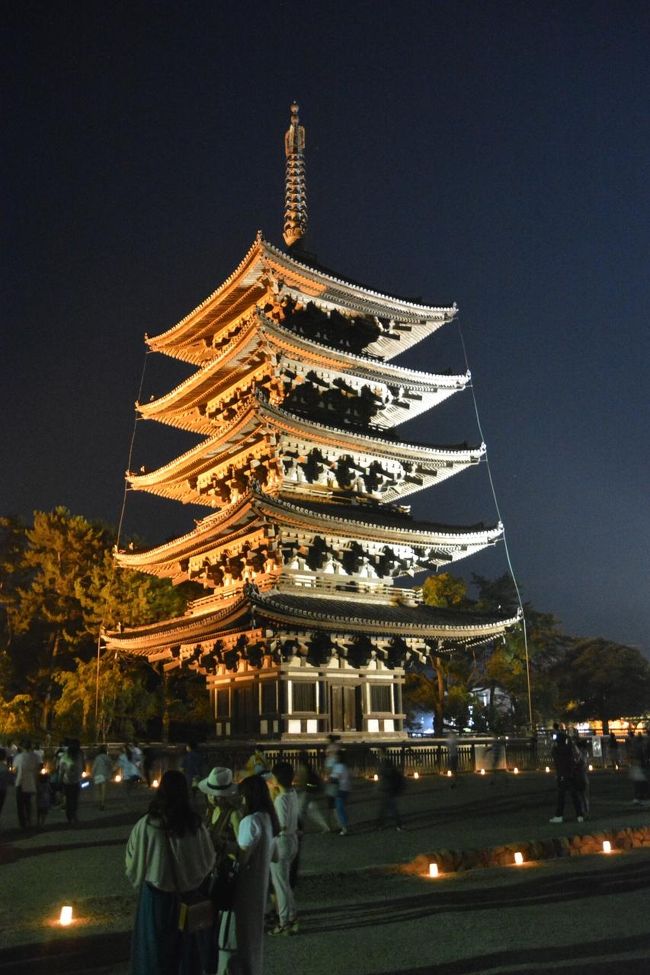 興福寺五重塔のライトアップ